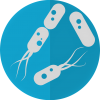 bacteria-intestinal-flora
